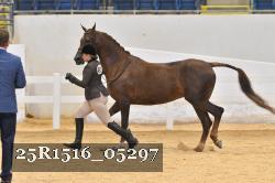 25R1516_05297 thumbnail