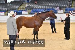 25R1516_05299 thumbnail