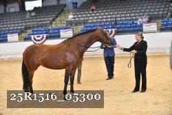 25R1516_05300 thumbnail