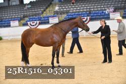 25R1516_05301 thumbnail