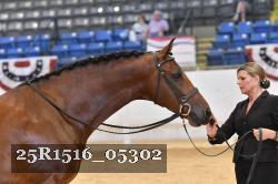 25R1516_05302 thumbnail