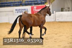 25R1516_05303 thumbnail