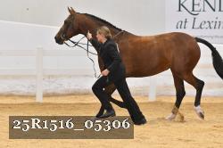 25R1516_05306 thumbnail