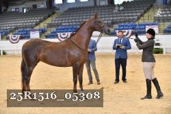 25R1516_05308 thumbnail