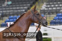 25R1516_05309 thumbnail