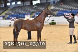 25R1516_05310 thumbnail