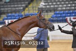 25R1516_05312 thumbnail