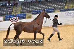 25R1516_05313 thumbnail