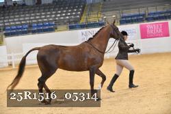 25R1516_05314 thumbnail