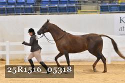 25R1516_05318 thumbnail