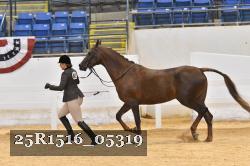 25R1516_05319 thumbnail