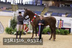 25R1516_05324 thumbnail