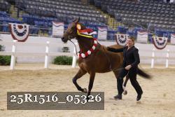25R1516_05326 thumbnail