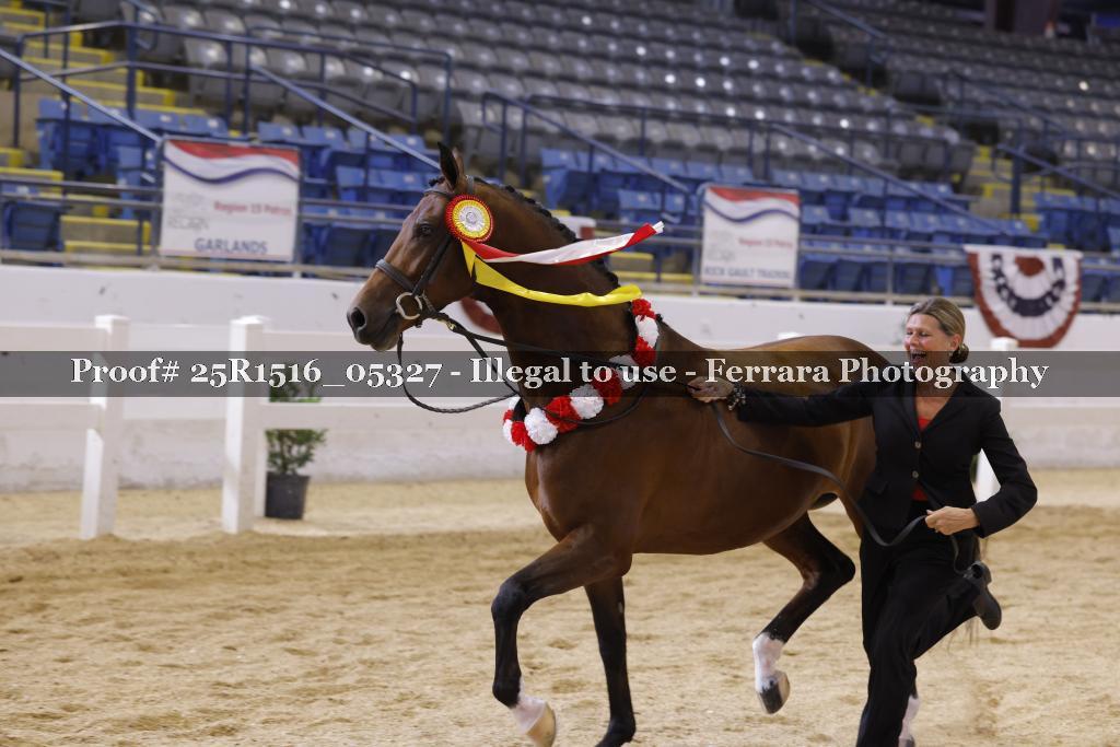 Proof Number 25R1516_05327