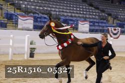 25R1516_05327 thumbnail