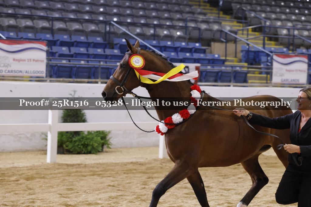 Proof Number 25R1516_05328