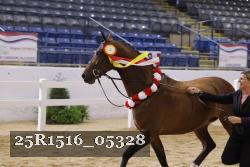 25R1516_05328 thumbnail