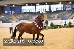 25R1516_05330 thumbnail