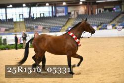 25R1516_05331 thumbnail