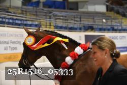 25R1516_05333 thumbnail
