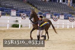25R1516_05334 thumbnail