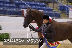 25R1516_05336 thumbnail