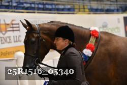25R1516_05340 thumbnail