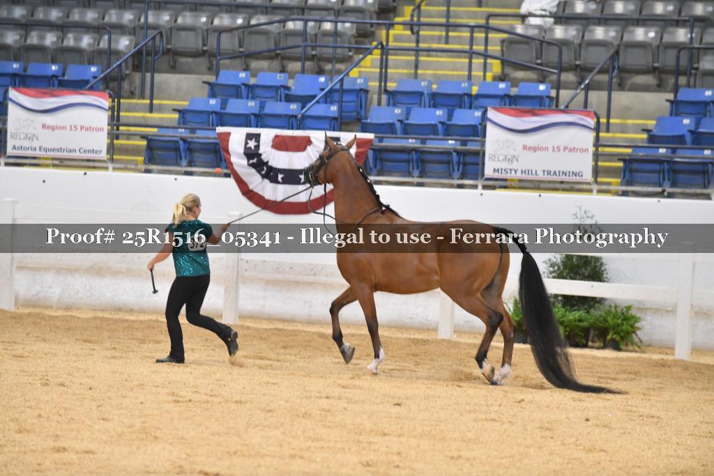 Proof Number 25R1516_05341