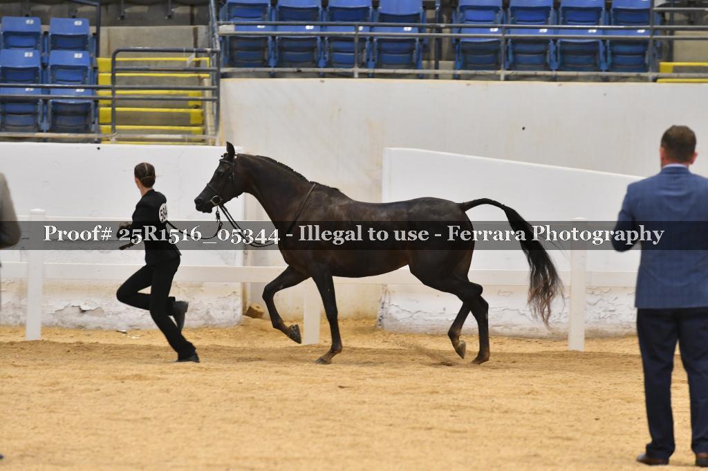 Proof Number 25R1516_05344