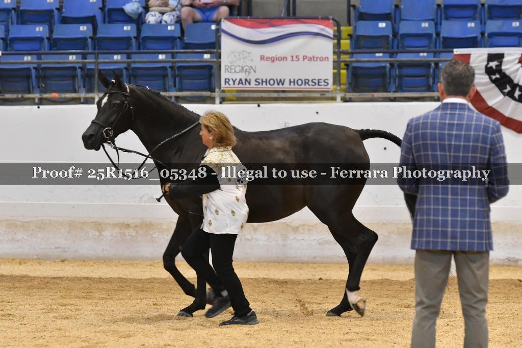 Proof Number 25R1516_05348
