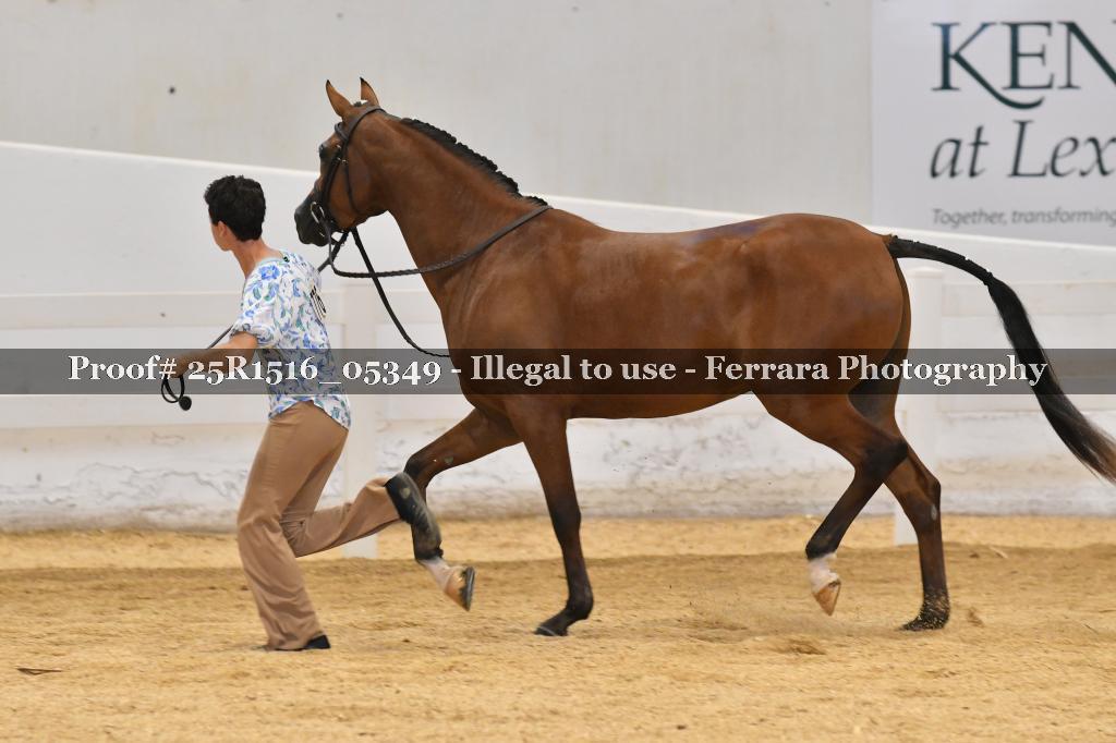 Proof Number 25R1516_05349