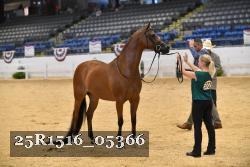 25R1516_05366 thumbnail