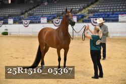 25R1516_05367 thumbnail