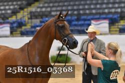 25R1516_05368 thumbnail