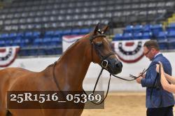 25R1516_05369 thumbnail