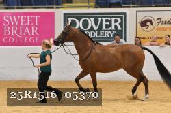 25R1516_05370 thumbnail