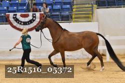 25R1516_05372 thumbnail