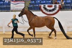 25R1516_05373 thumbnail