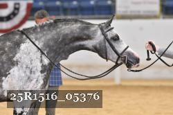 25R1516_05376 thumbnail