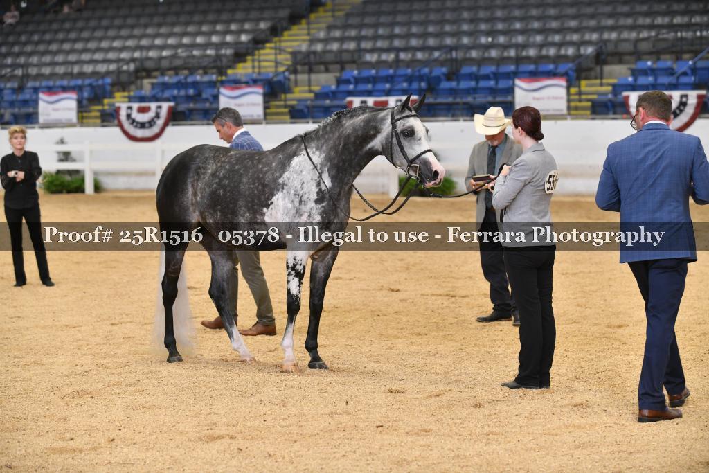 Proof Number 25R1516_05378