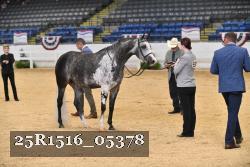 25R1516_05378 thumbnail