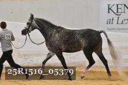 25R1516_05379 thumbnail