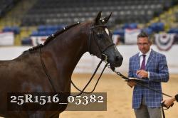 25R1516_05382 thumbnail