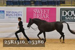 25R1516_05386 thumbnail