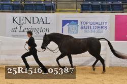 25R1516_05387 thumbnail