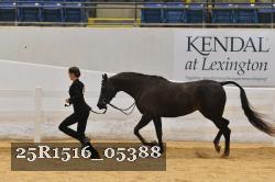 25R1516_05388 thumbnail