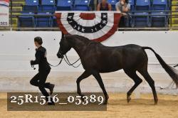 25R1516_05389 thumbnail
