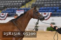 25R1516_05390 thumbnail