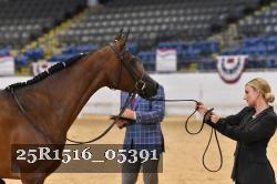 25R1516_05391 thumbnail