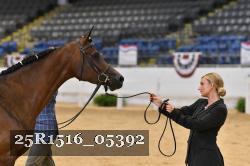 25R1516_05392 thumbnail